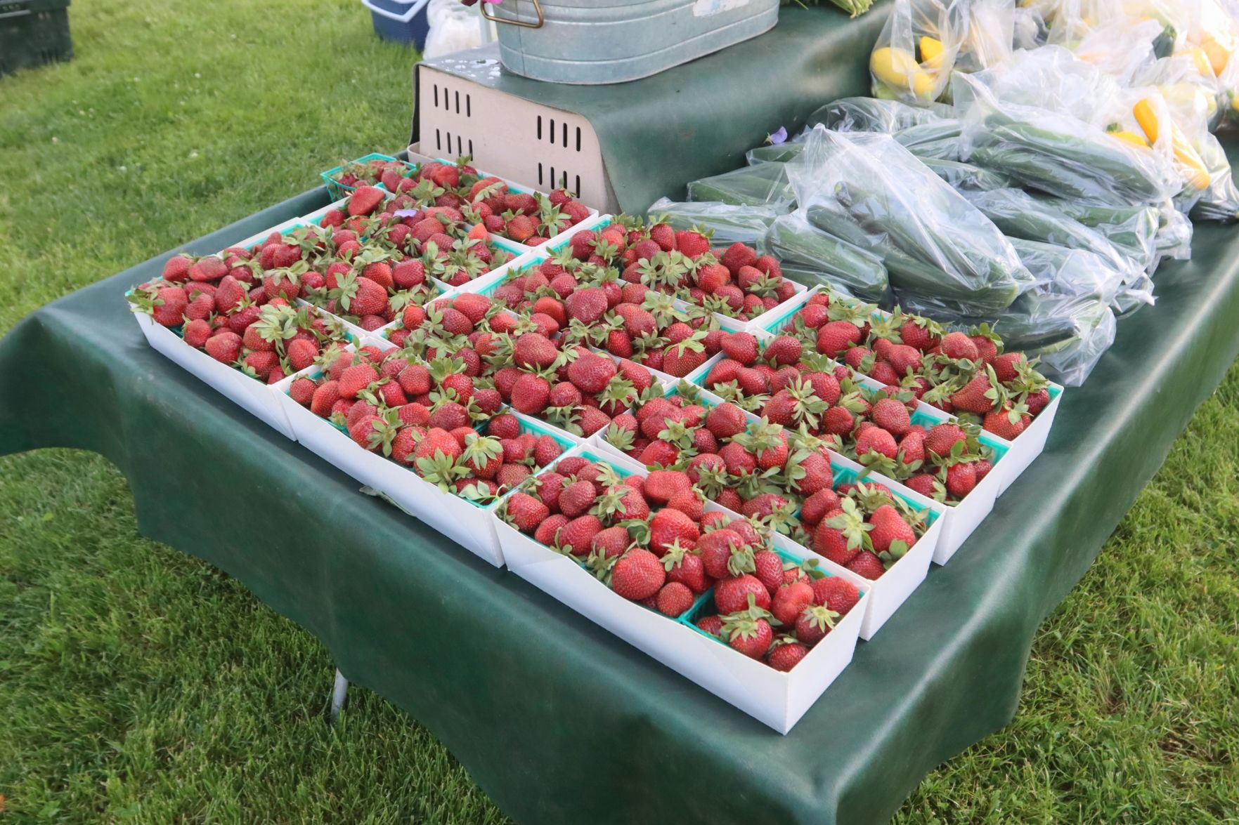 Thursday Night Market Place hosts first certified farmers market
